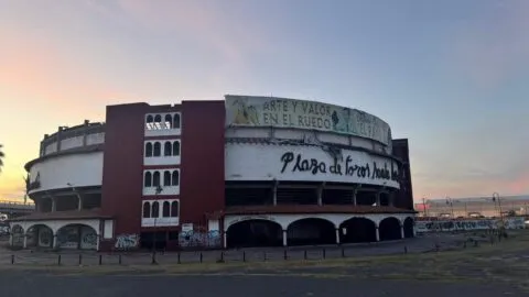 Frenan corridas de toros en la capital de Querétaro: juez concede amparo a Animal Héroes