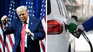 Casa Blanca celebra bajada del precio de la gasolina con video de Trump al ritmo de Daddy Yankee