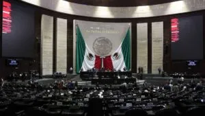 Reforma electoral divide a aliados de Morena: Verde y PT ponen freno