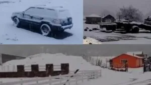 Imágenes impactantes: frío extremo y heladas pintan de blanco México