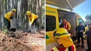 Brigadas mexicanas se suman al combate de incendios forestales en Chile