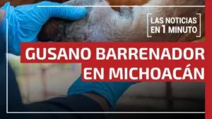 Noticias de hoy 6 de enero de 2026, en un minuto, hasta las 19:00 horas