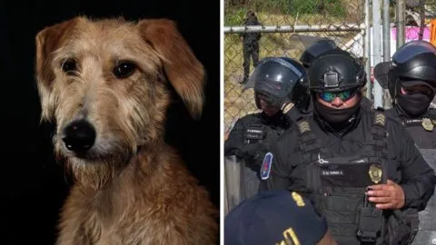 Policías de Oaxaca someten a mujer en situación de calle junto a su perrito