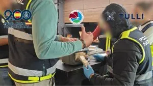 Operación Saga: desmantelan infraestructura del Cártel de Sinaloa en España