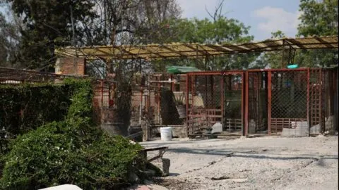 Recuperan Refugio Franciscano en Cuajimalpa; aún sin perros