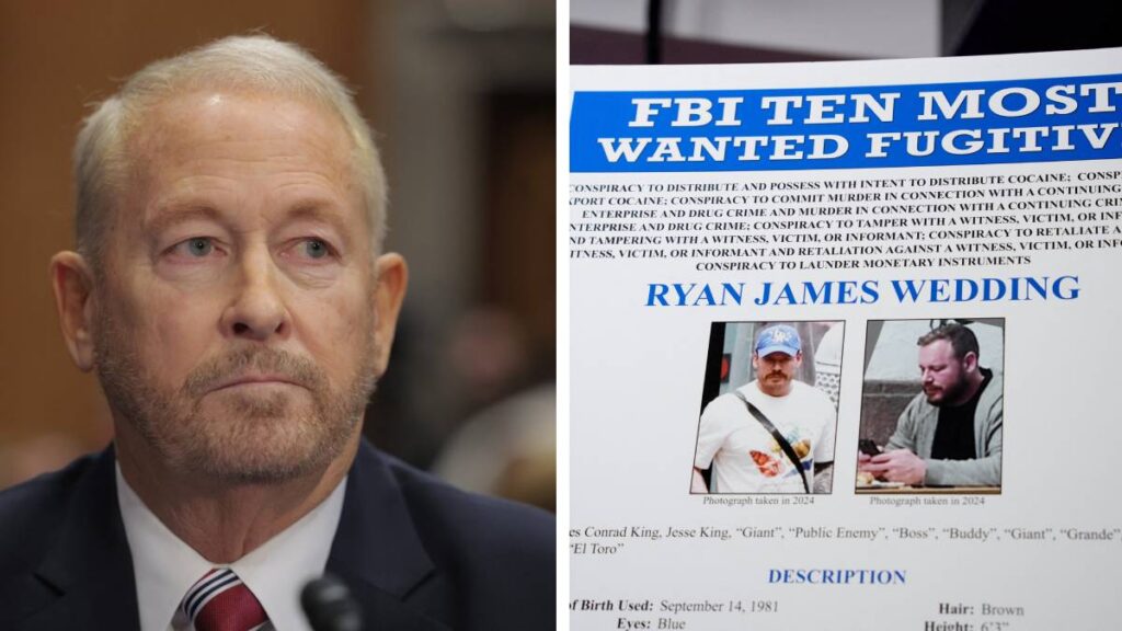 Embajador de EE. UU. asegura que Ryan Wedding se entregó voluntariamente gracias a la cooperación México-Estados Unidos.