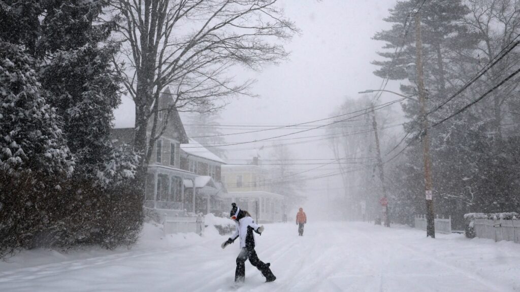 Tormenta invernal en Estados Unidos viraliza extraño fenómeno: árboles "explotan" ante frío extremo
