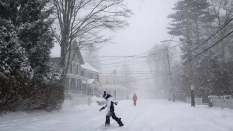 Tormenta invernal en Estados Unidos viraliza extraño fenómeno: árboles "explotan" ante bajas temperaturas extremas