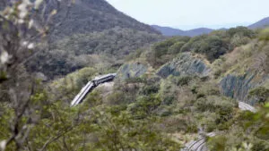 Víctimas del Tren Interoceánico presentarán denuncia ante la FGR en contra de constructoras y funcionarios
