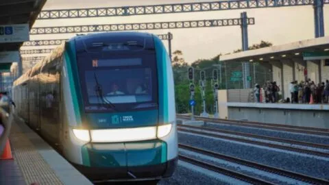 Calakmul y Tren Maya, una experiencia inolvidable