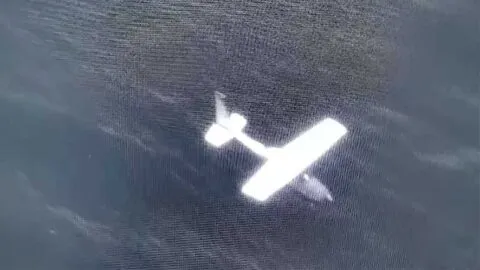 Decomisan en Oaxaca aeronave que transportaba más de media tonelada de cocaína