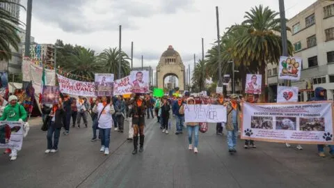 Animalistas encabezan protestas de este lunes 23 de febrero en CDMX