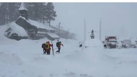 Video: así fue la avalancha que mató a 8 esquiadores en California
