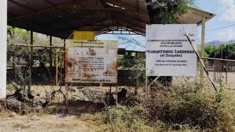 Tras caída del "Bótox", la gente regresa a sus comunidades y aumenta precio del limón