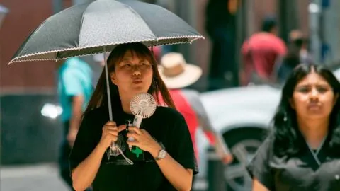 Clima en CDMX será mayormente estable este sábado, ambiente fresco y templado