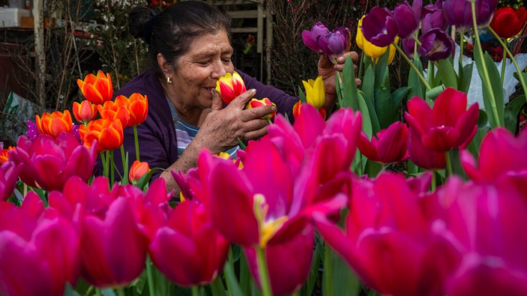 Secretaría de Agricultura y Desarrollo Rural