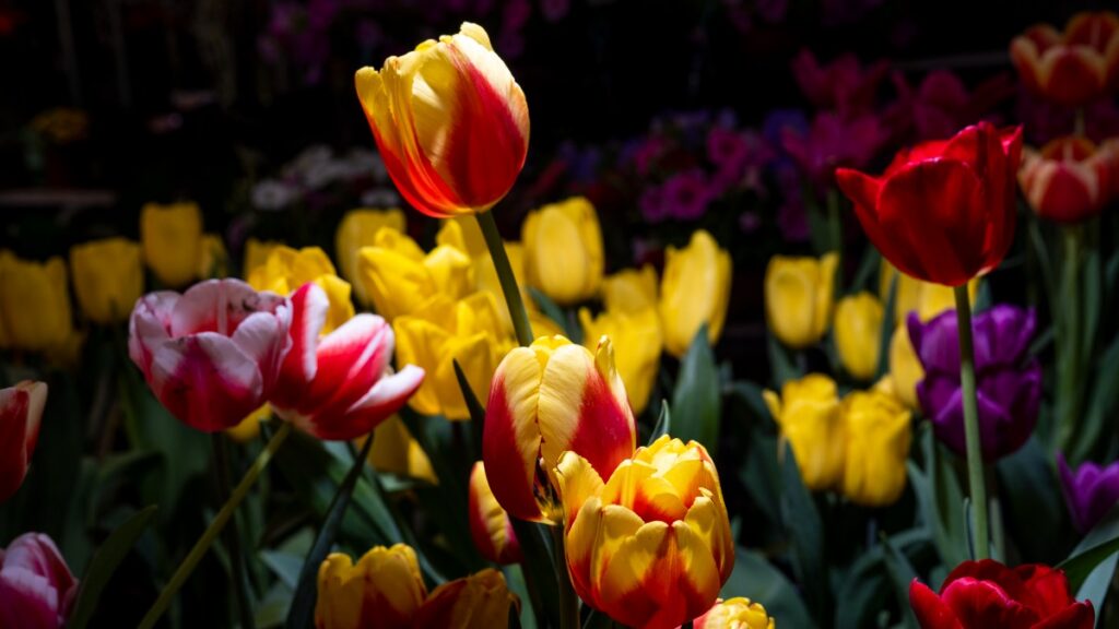 Secretaría de Agricultura y Desarrollo Rural