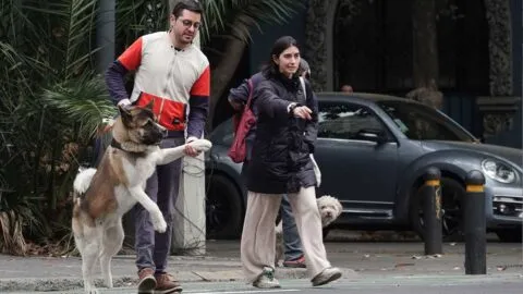 CDMX: ambiente frío por la mañana y tarde con clima cálido, no habrá lluvia