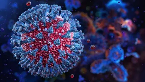 Científicos advierten sobre gripe D y coronavirus canino que amenazan a humanos