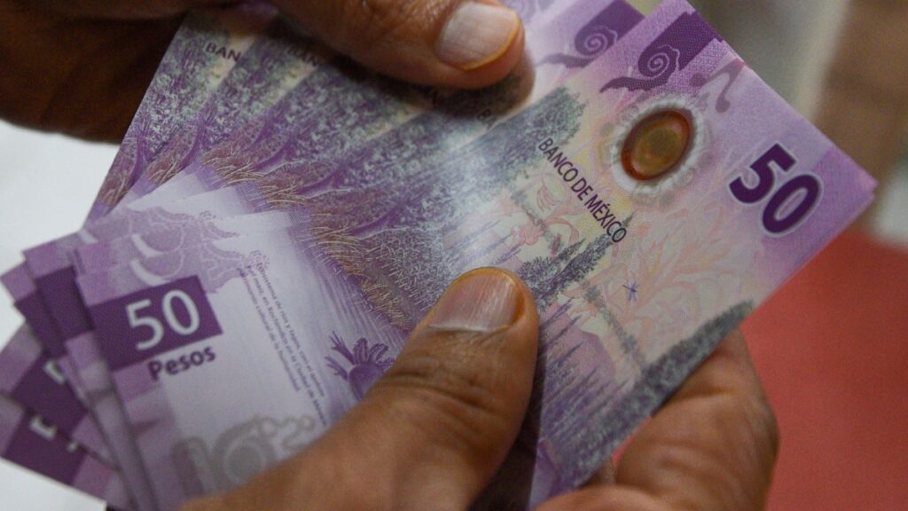 Cortoplacista, propuesta de reforma a las pensiones para destinar ahorro al gasto social