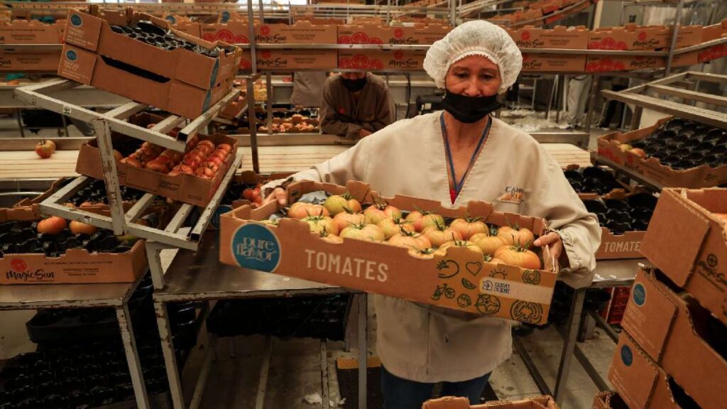 Crecen las importaciones y exportaciones en México durante enero de 2026