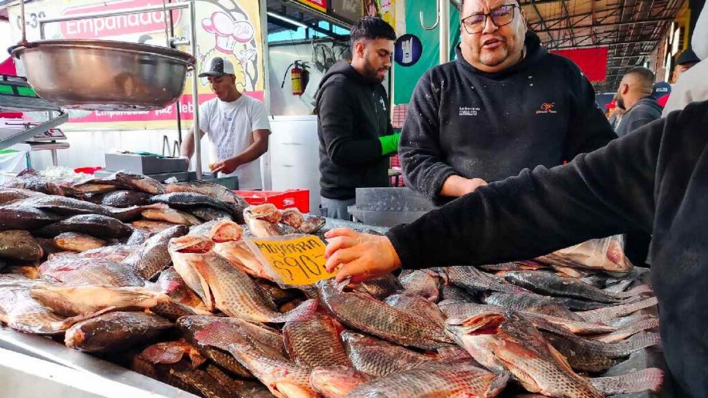 Cuaresma 2026 arranca el 18 de febrero: qué significa el Miércoles de Ceniza
