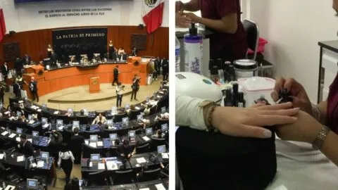 Senadoras de Morena defienden estética en el Senado; niegan gasto público