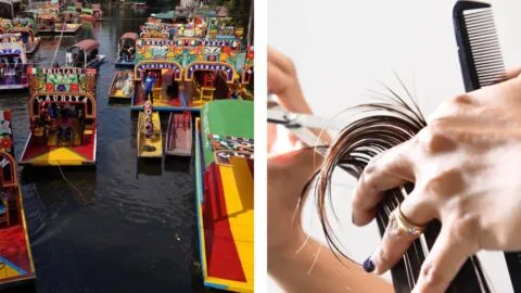 Cabello al rescate: proyecto ambiental lo usa para limpiar los canales de Xochimilco