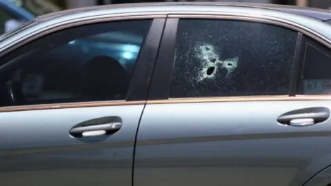 ¡Una década de horror! Violencia letal persiste, pese a bajas en el corto plazo: México Evalúa