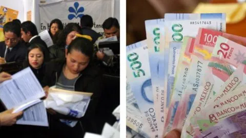 “Mi Primera Chamba”: requisitos para recibir 9 mil pesos si eres joven en Oaxaca