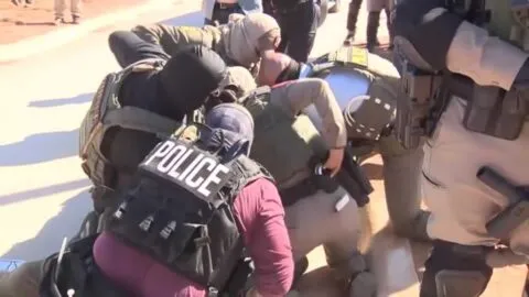 ¿Eran todos “criminales”? Más de un tercio de los detenidos por ICE, sin antecedentes