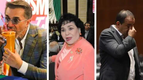 Fama, poder y escándalos: celebridades, como Sergio Mayer, que saltaron a la política