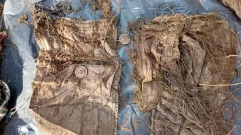 Madres buscadoras del colectivo “Escarabajos” localizan fosa clandestina en la sierra de Jerez