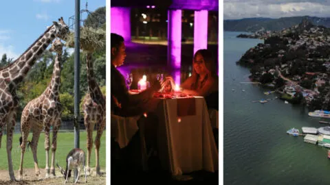 ¿Sin ideas para San Valentín? 5 lugares de Edomex para disfrutar el 14 de febrero