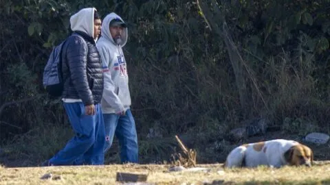 CDMX amanece con frío, niebla y lluvias por la tarde