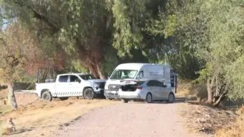 Hallan 33 cuerpos y 48 restos en la que podría ser la mayor fosa clandestina de Guanajuato