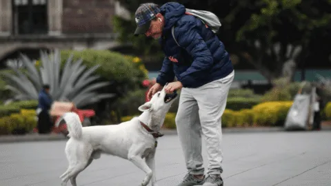 Frío matutino y hasta 26° por la tarde en CDMX para este lunes