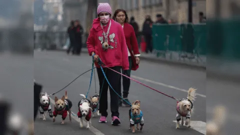 ¡Sigue el frío! CDMX inicia la semana con mínimas de 4°