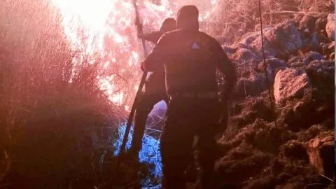 Controlan incendio en inmediaciones de Monte Albán, Oaxaca; no hay riesgo
