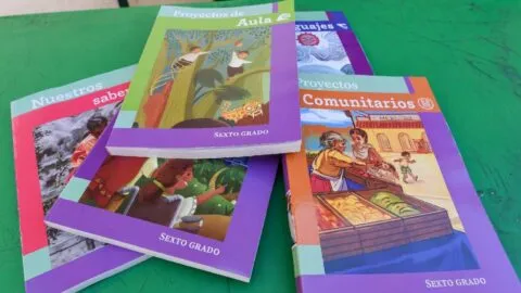 Maestra cuestiona contenidos de libros de texto de la Nueva Escuela Mexicana