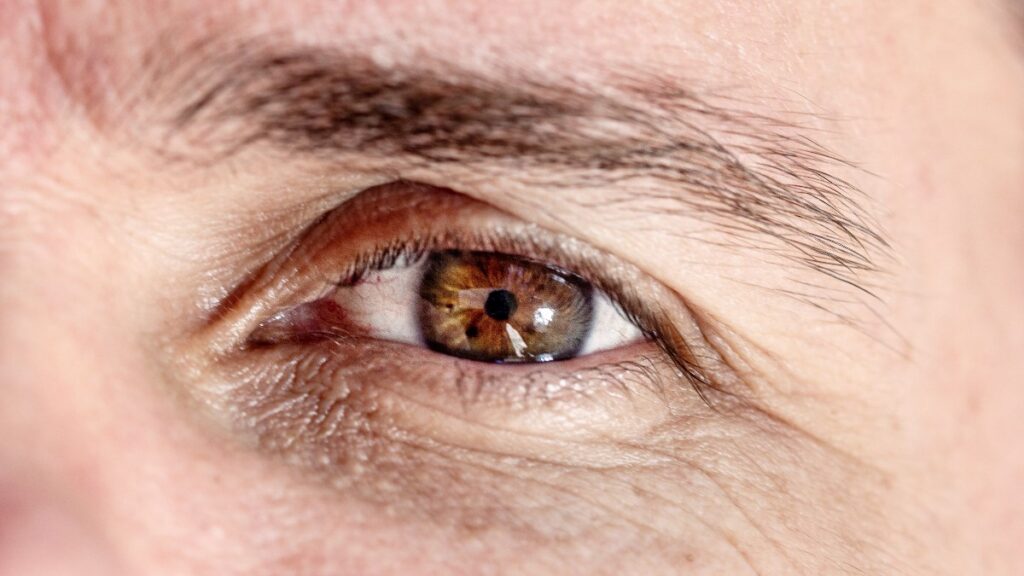 Los “químicos eternos” estarían acelerando el envejecimiento de hombres de 50 a 64 años, señala estudio