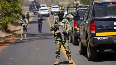 Seguridad y salud pública: el debate tras la caída del "Mencho”