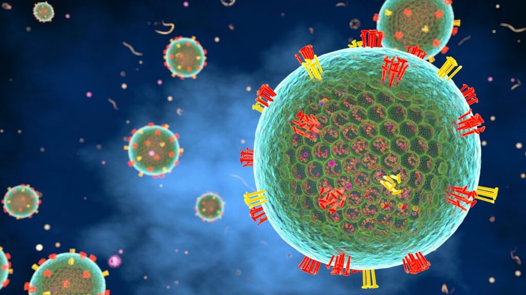 Sigue subiendo: México supera los 11 mil casos de sarampión; ¿qué grupo de edad es el más afectado?