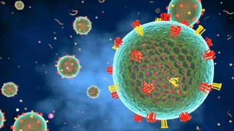 ¡Sigue subiendo! México supera los 11 mil casos de sarampión; ¿qué grupo de edad es el más afectado?