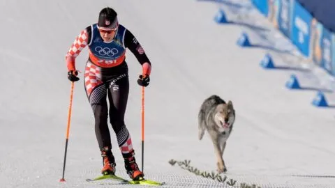 ¡Tierno momento! Un perro se roba los reflectores durante el esquí de fondo en Milano Cortina 2026: video