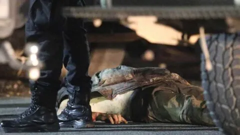 En 20 años de guerra contra el crimen organizado, casi 900 militares asesinados