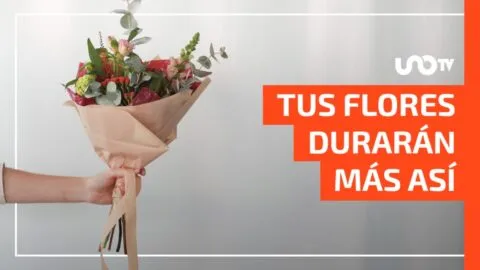 Truco para que tus flores te duren más