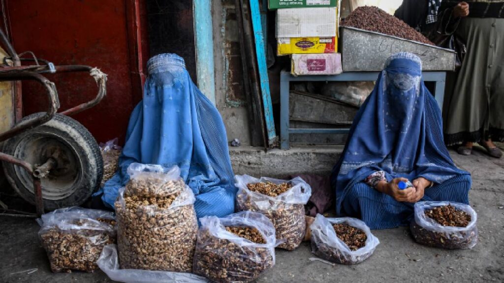 Nuevo Código Penal del Talibán fija penas menores por violencia doméstica que por maltrato animal en Afganistán.
