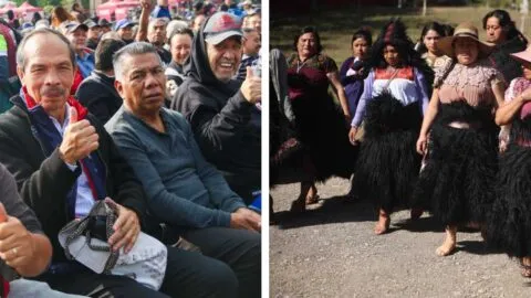 Pensión Bienestar: lo que deben saber hombres y mujeres que cumplen 65 años en 2026