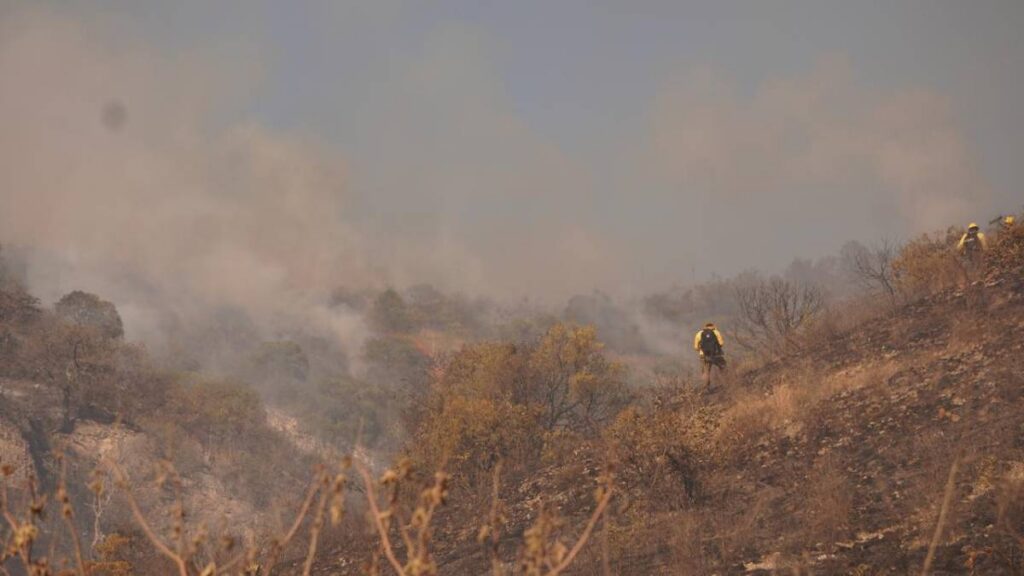 Oaxaca es el estado más afectado por incendios.